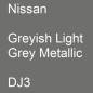 Preview: Nissan, Greyish Light Grey Metallic, DJ3.